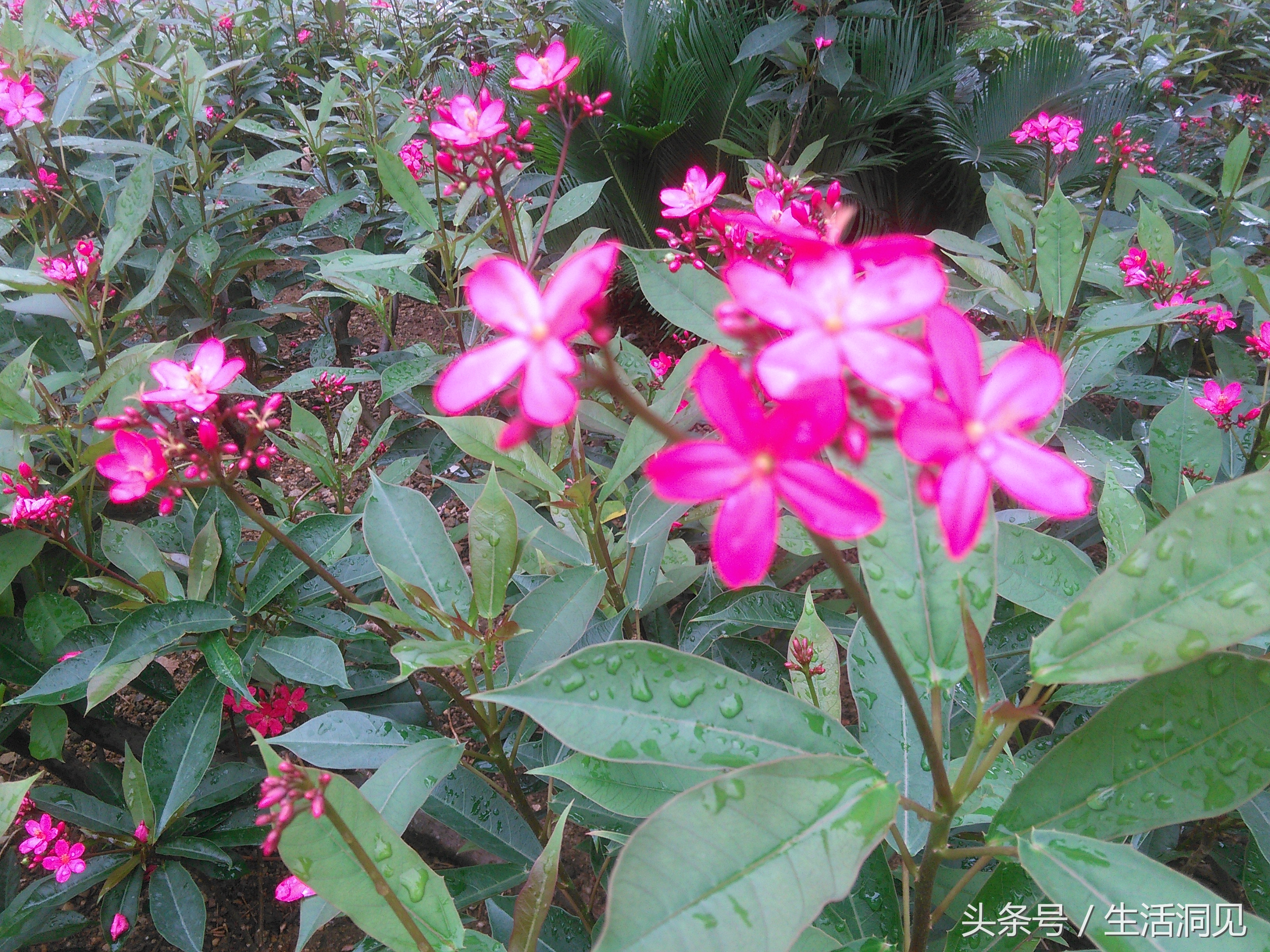 当对生活焦虑压抑了怎么办,当生活感到压抑