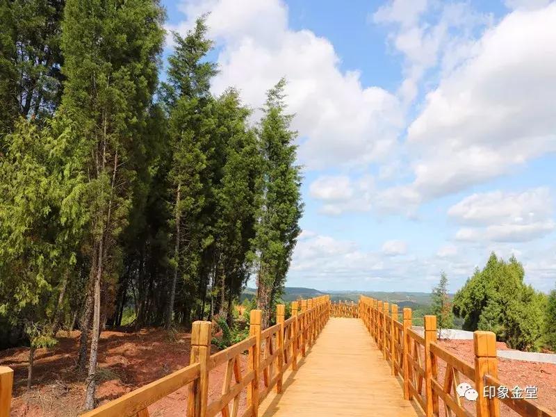 成都市金堂县龙泉山城市森林公园,成都龙泉城市森林公园图