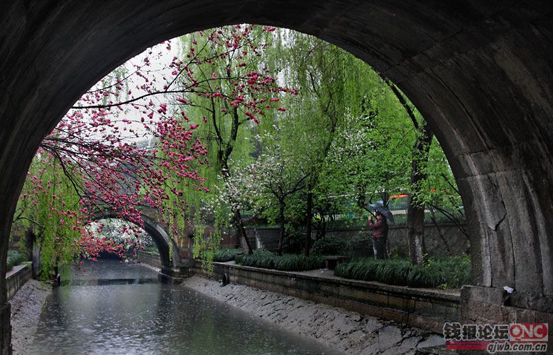 浙江有礼美丽杭州,美丽浙江换个视角看杭州