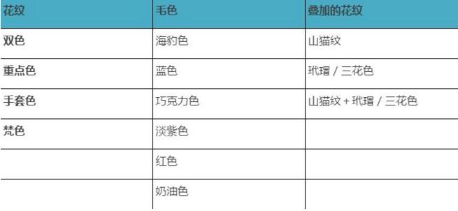 选购优秀布偶猫的五点经验,布偶猫的鉴别方法与选购知识要点