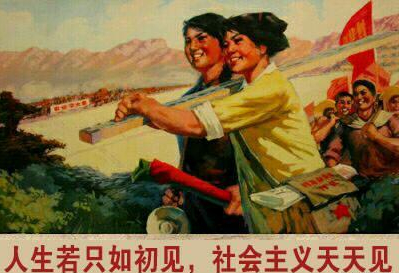 *泄早**，一场对抗进化的战争