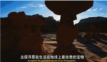 假期一定要给孩子看的20部纪录片,12部适合和孩子一起看的纪录片