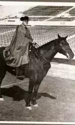 蒙面骑马骑士视频,蒙面骑士闯进将军宴会视频