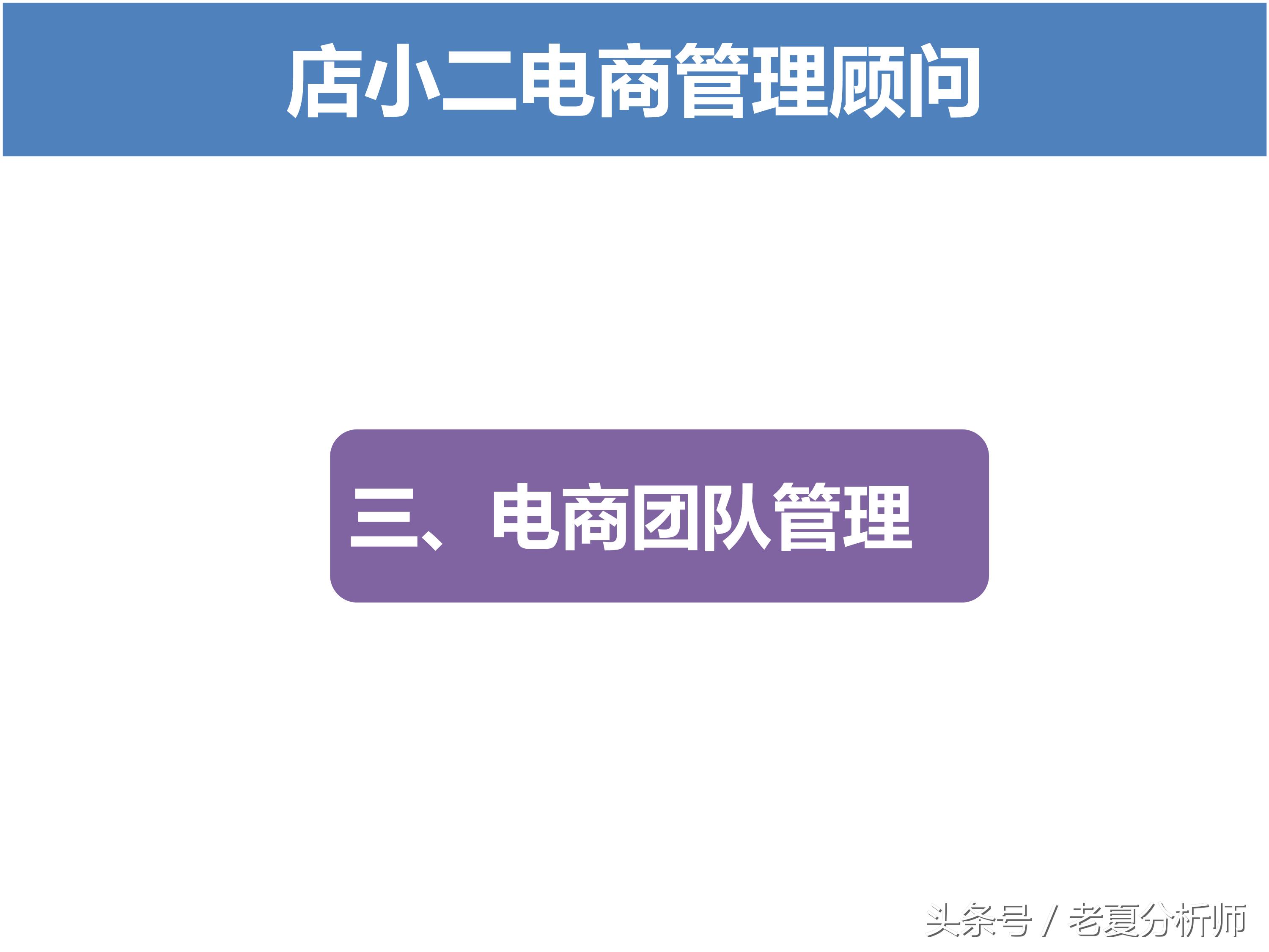 淘宝运营方案ppt,天猫运营年终ppt范例