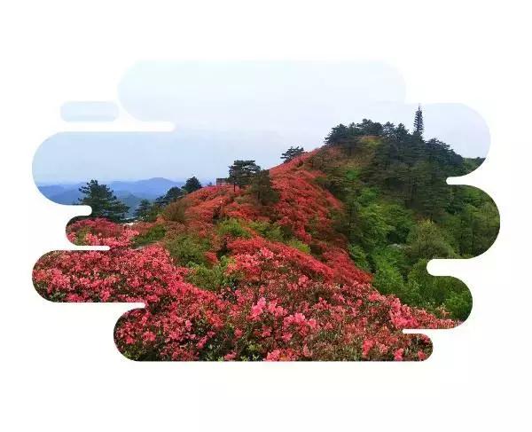 麻城龟峰山美景,麻城龟峰山风景区美照