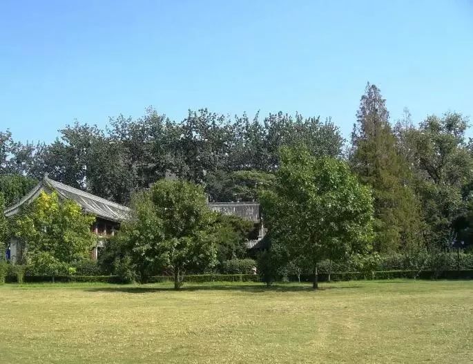 北大生日快乐 (北大生日会)