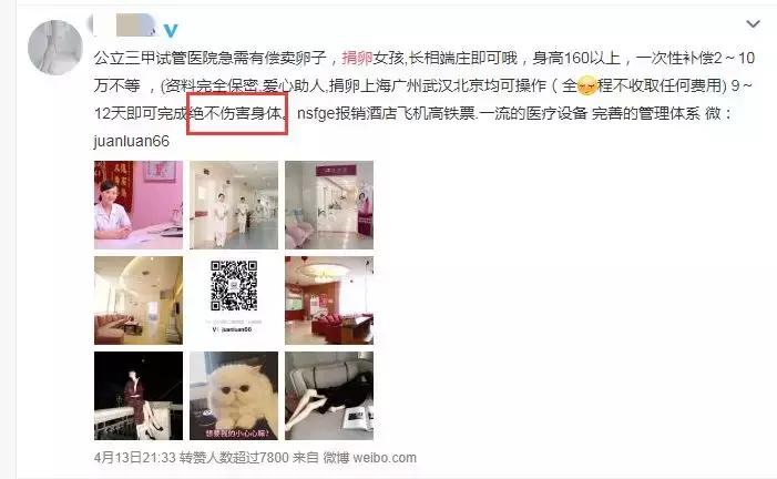 女大学生捐卵案完整,女大学生捐29个卵