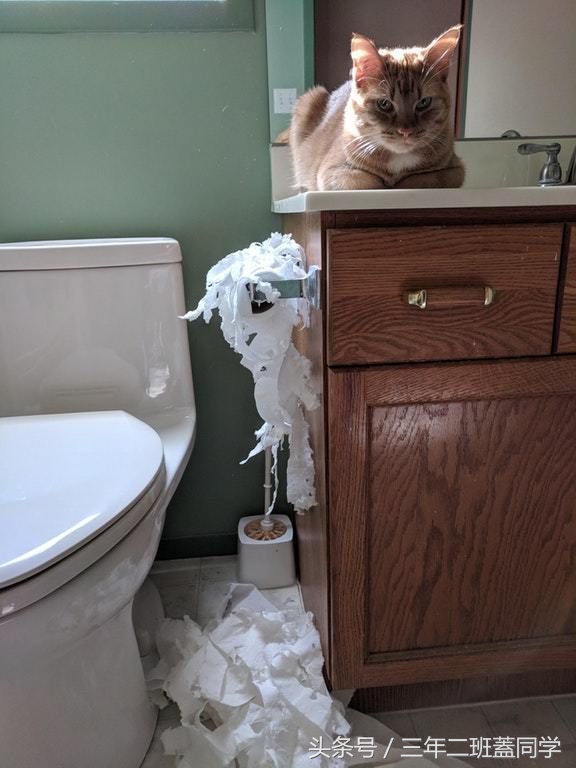 好羞耻，但是好想进去呢