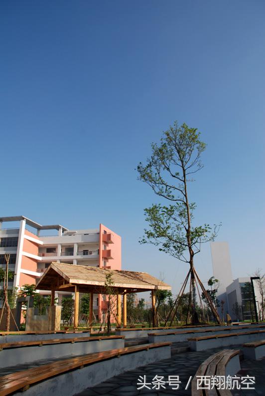 成都最好的高中学校在哪里,成都市最好的高中学校有哪些