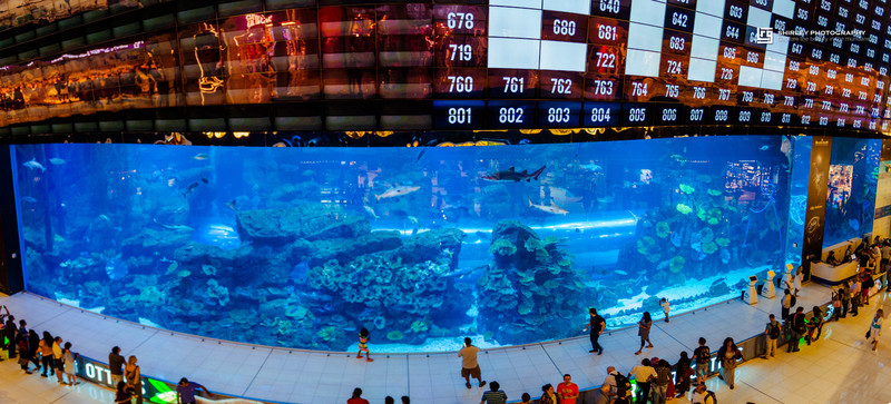 世界第一的迪拜,迪拜豪华足球场