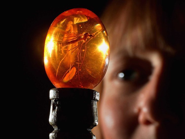 与多米尼加共和国建交的所有国家,多米尼加与中国建交时间