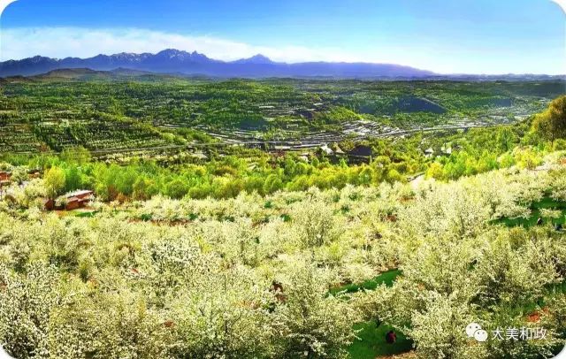 绿色和政春深夏浅风光好山美花浓待君来