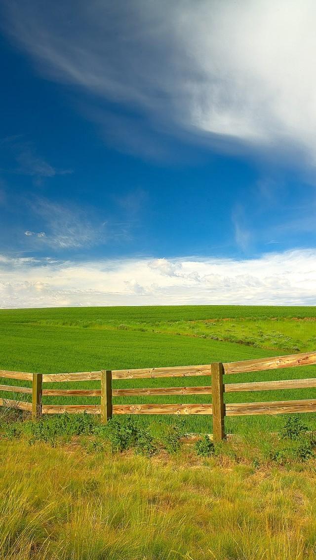 塞尔达传说旷野之息精美手机壁纸,王鸥精美手机壁纸