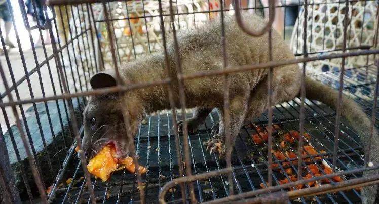 什么样的人会每天一杯咖啡,什么样的人会点外卖