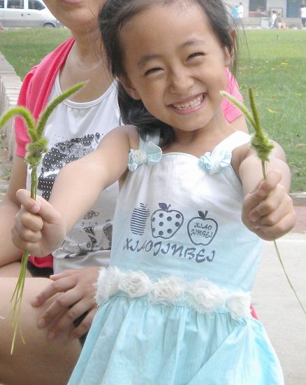 别把狗狗当玩具它们也是有生命的,毛毛狗是啥植物