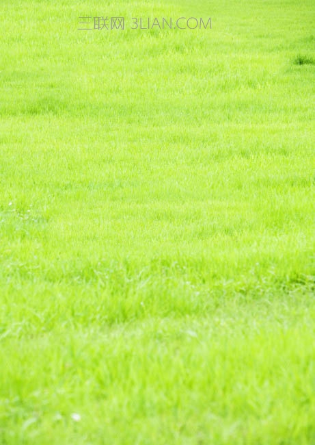 ps抠图后怎么拉出来换白底图,ps抠图后怎么拉出来选区