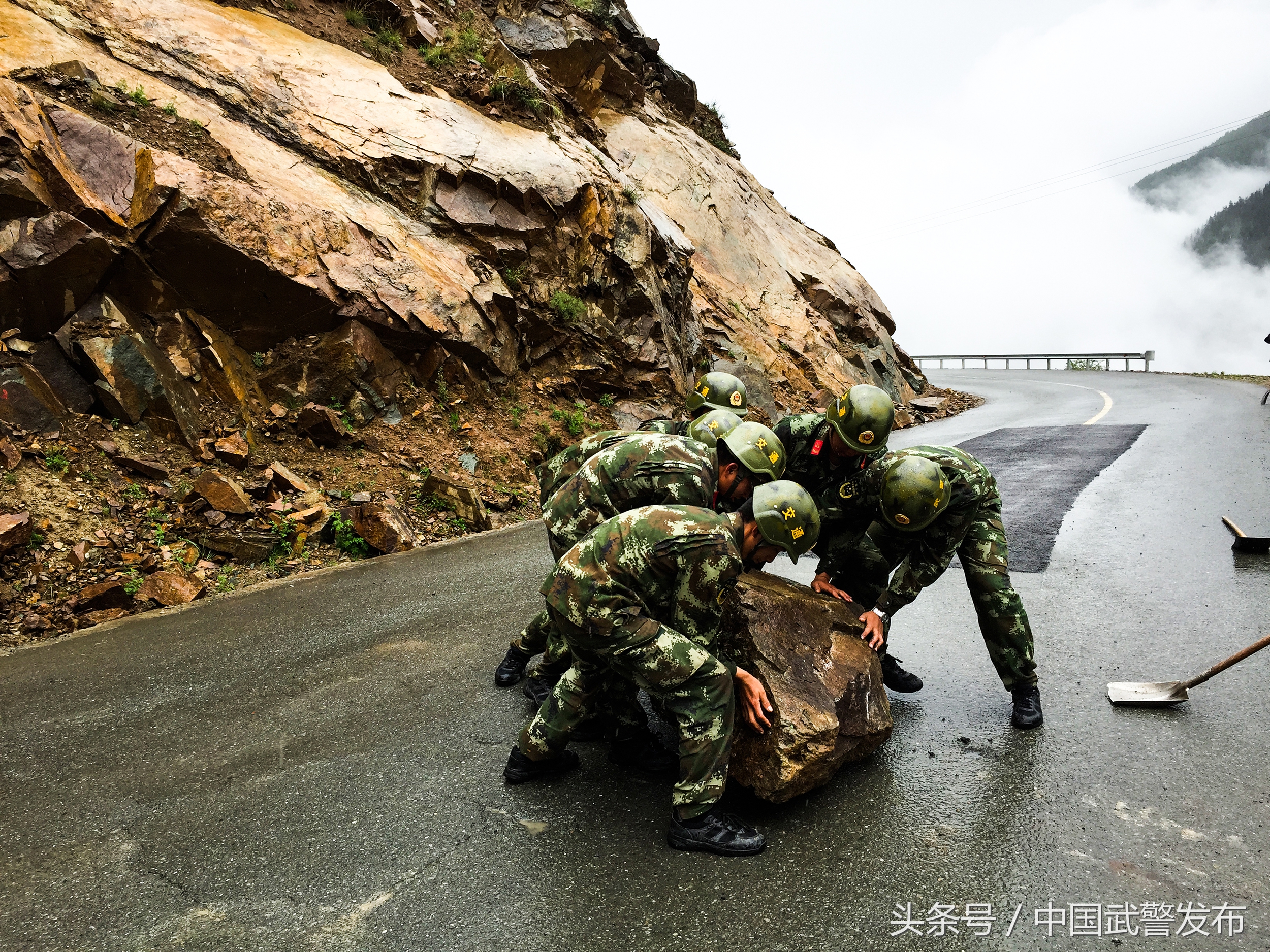 生命之花在雪域高原绽放,青春在雪域高原美丽绽放