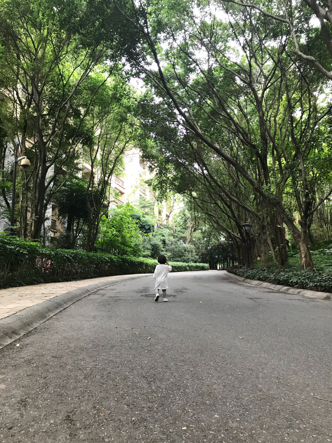 广州长隆熊猫酒店套票攻略,番禺长隆野生动物酒店住宿攻略