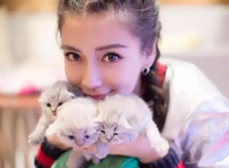 百丽撤柜鞋是真的吗,一代鞋王百丽退市了吗