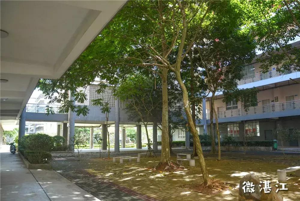 谢谢你二年级,谢谢你雷州话