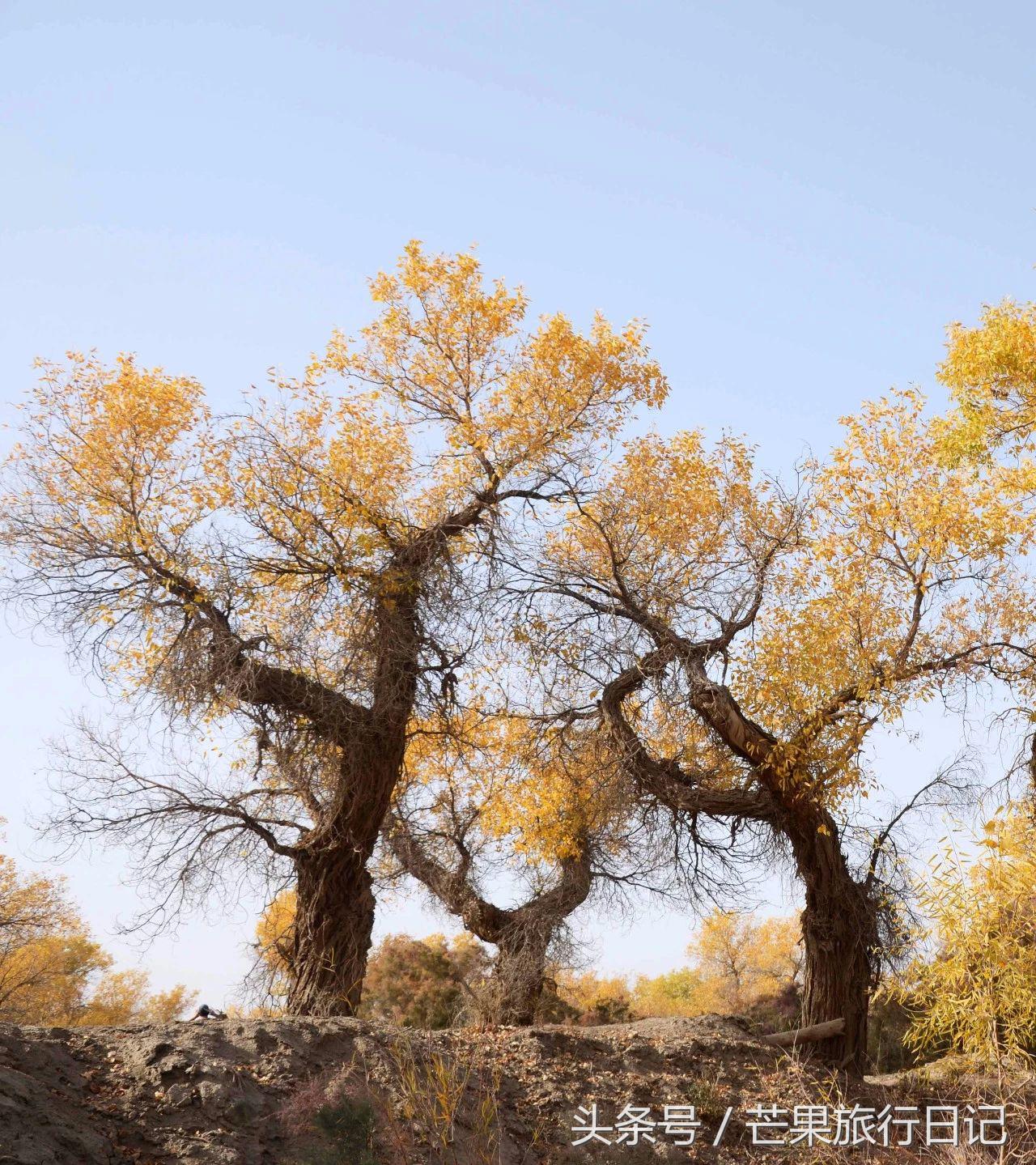 南疆旅游攻略自由行路线推荐,南疆自由行旅游全攻略