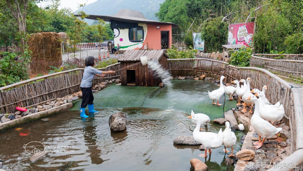 江西三清山风景区一日游攻略,江西圭峰山风景区攻略