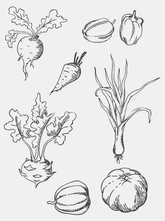 画画教程零基础都能学会,有了画画模板该怎么画