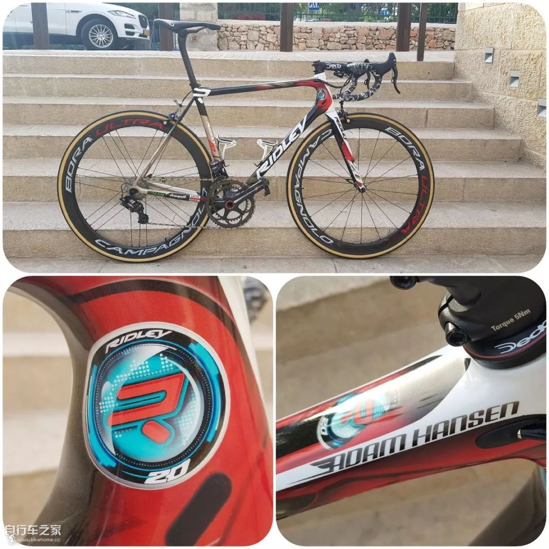 浜氳揪姹夋．ridley,ridley浜氳揪姹夋．