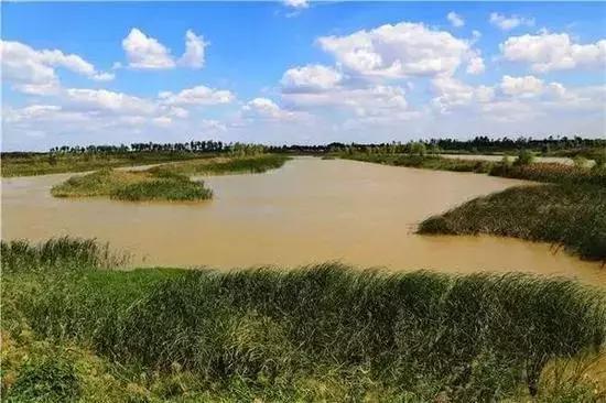 高清还是高青？家乡名字经常被人打错，你能分得清么