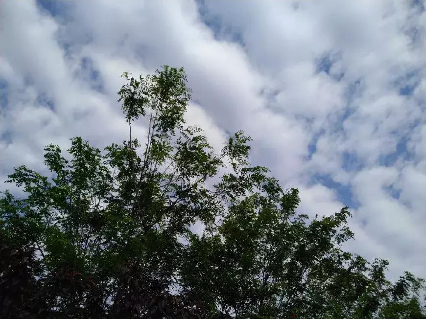 高清还是高青？家乡名字经常被人打错，你能分得清么