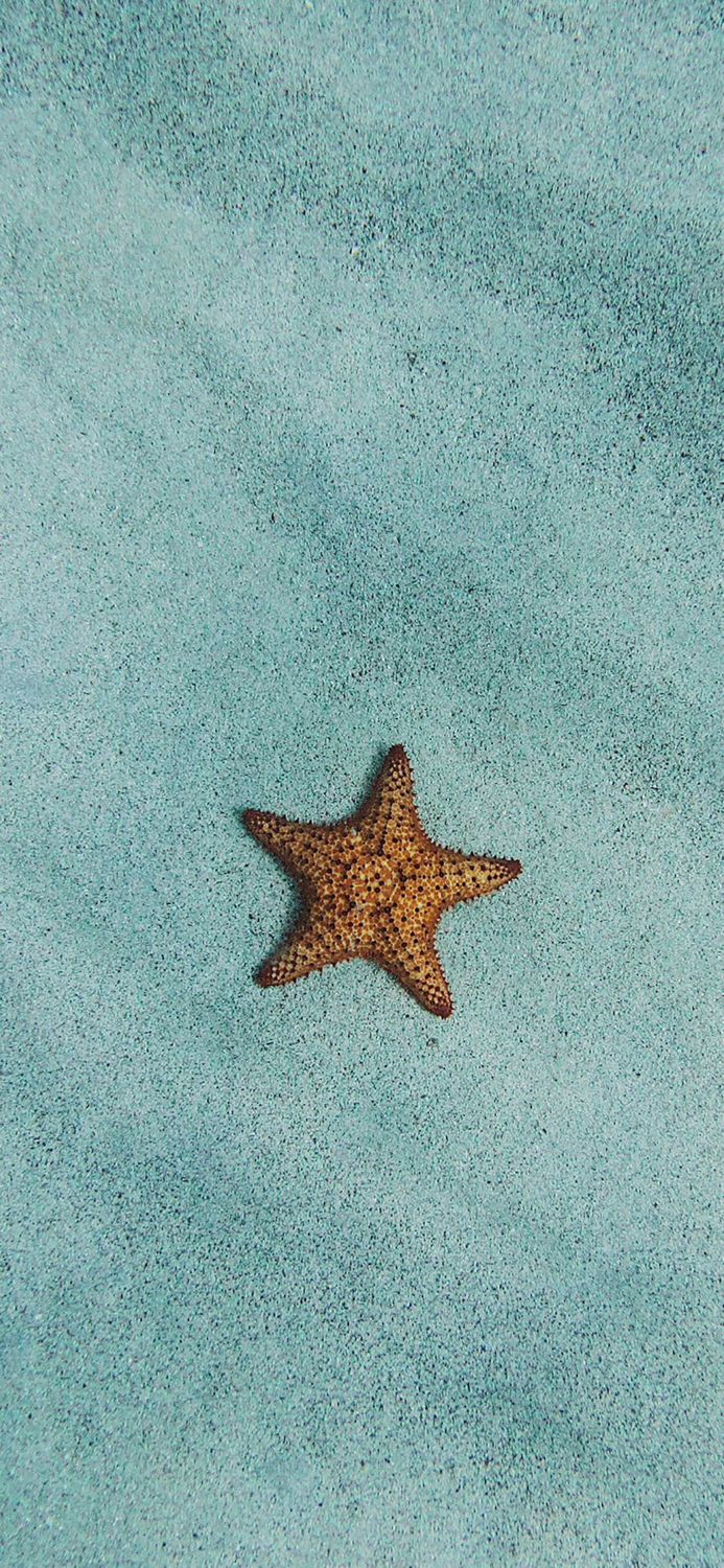 又一波堪比iphonex的黑科技袭来,苹果x壁纸超清唯美风景