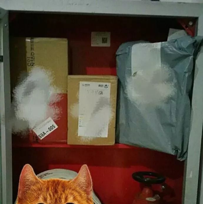 快递没时间接让快递员放在哪里,快递到了家里没人可以拒收吗