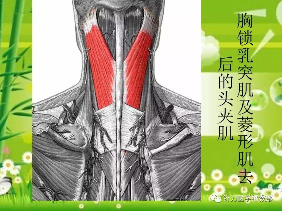 颈椎肌肉损伤用小针刀治疗,针刀治疗颈椎导致神经损伤