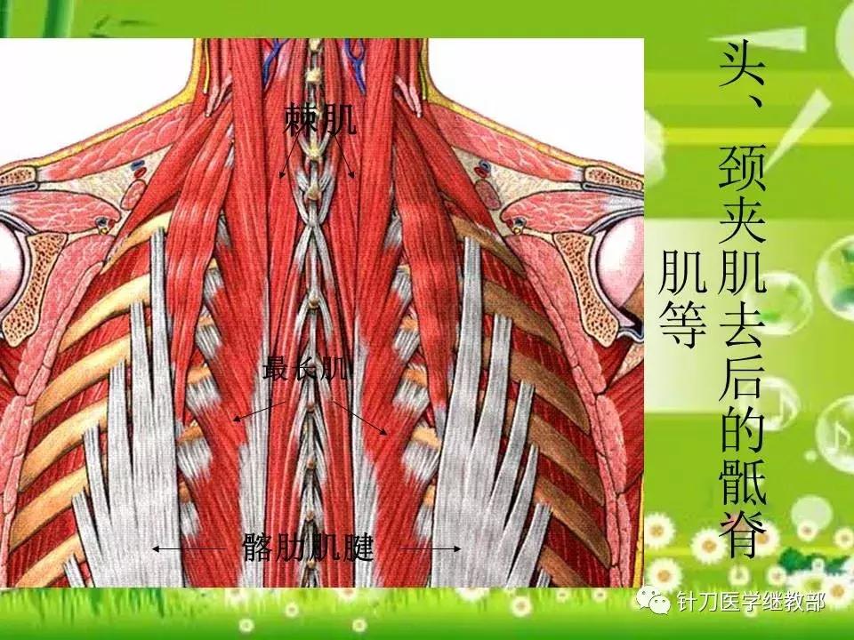 颈椎肌肉损伤用小针刀治疗,针刀治疗颈椎导致神经损伤