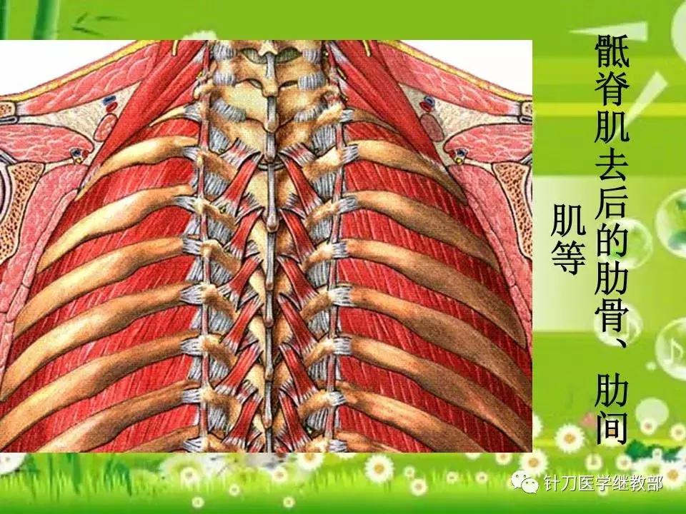 颈椎肌肉损伤用小针刀治疗,针刀治疗颈椎导致神经损伤