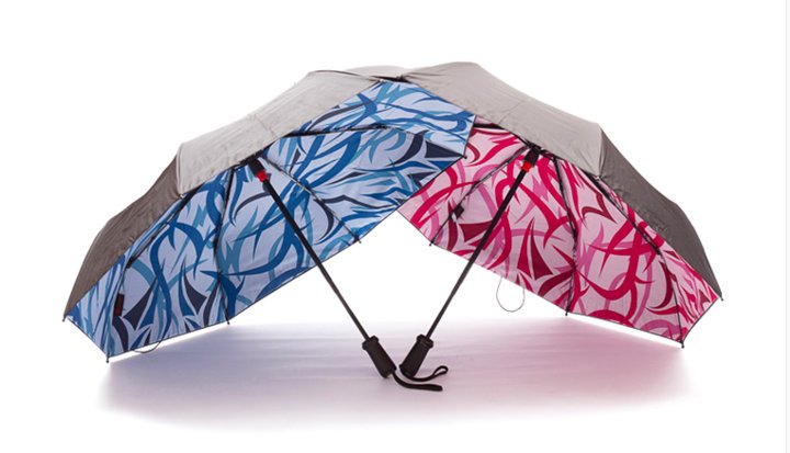 想要一把可以遮风挡雨的伞,拥有一把伞挡风又挡雨