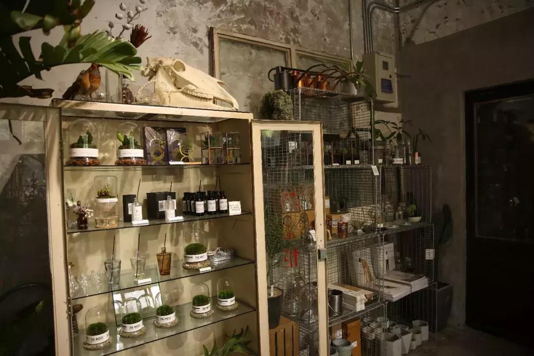 不爱回家探店,北京网红花店有哪些