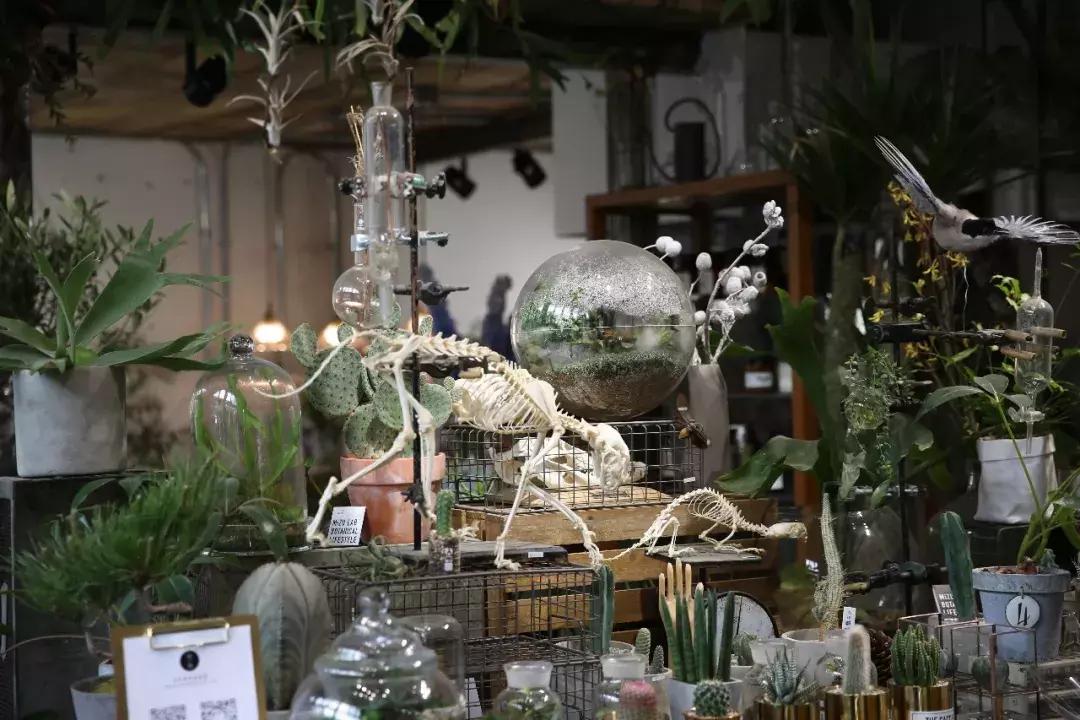 不爱回家探店,北京网红花店有哪些