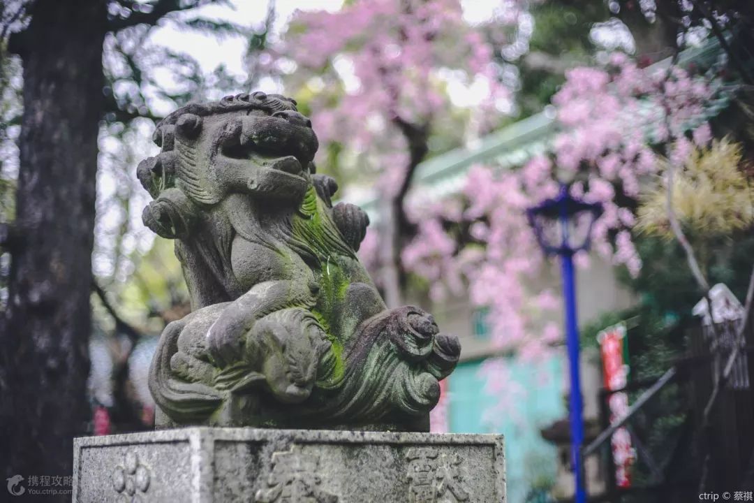 大部分人去日本,去日本东京怎样玩的才痛快
