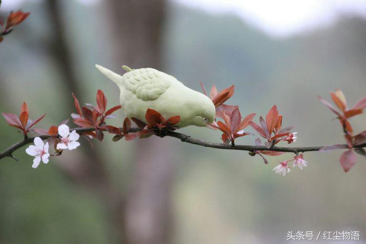 走在暮春,风还是香甜