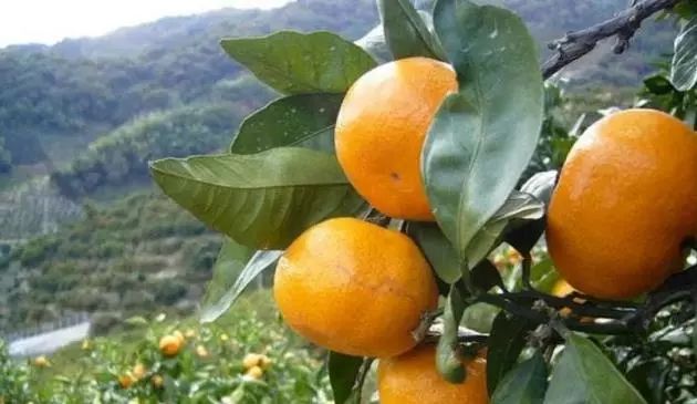 日本小众目的地,日本小众出行攻略