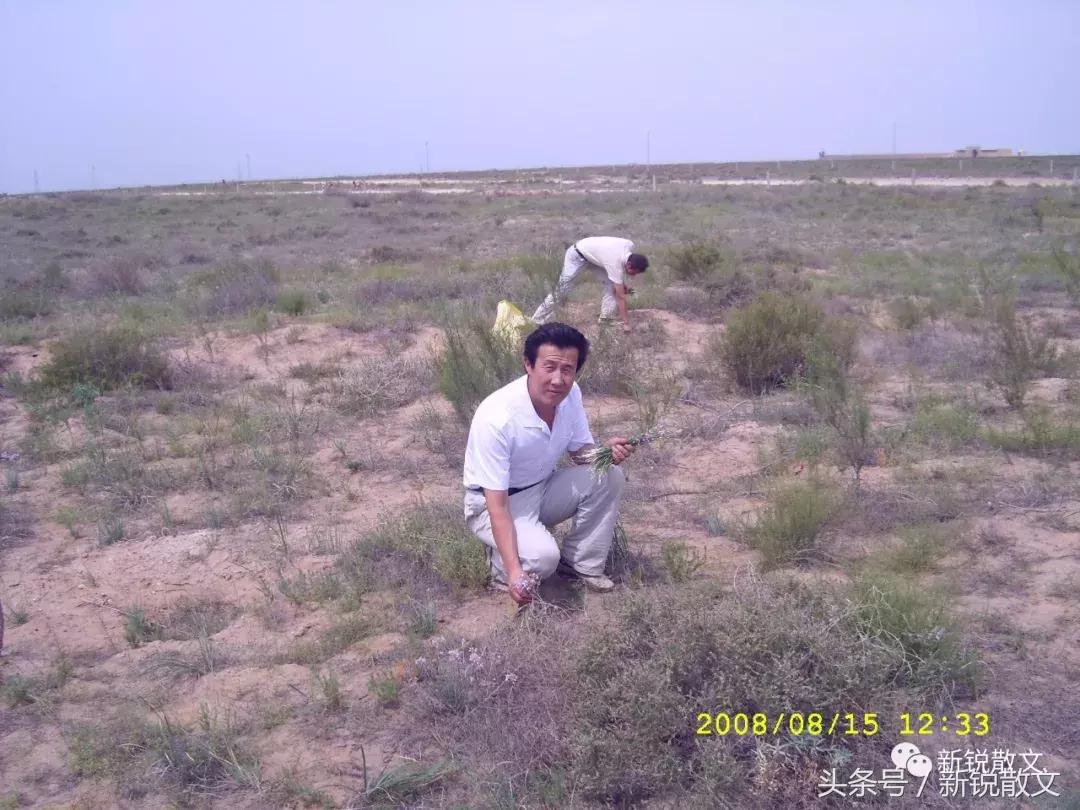 飘摇的风筝,如果我是一只飘摇不定的风筝