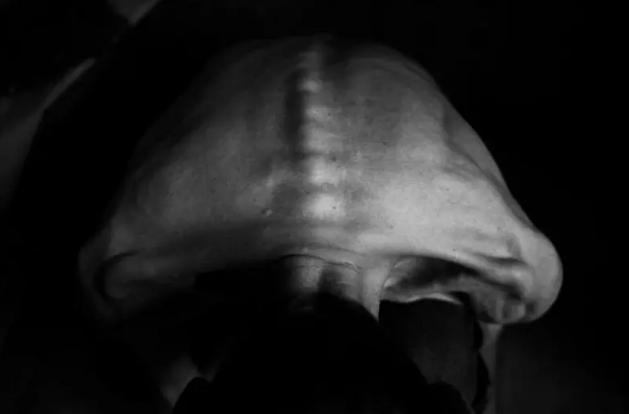 让亲身经历过*洛因海**和*毒冰**的人，告诉你*品毒**是不是真的很难戒