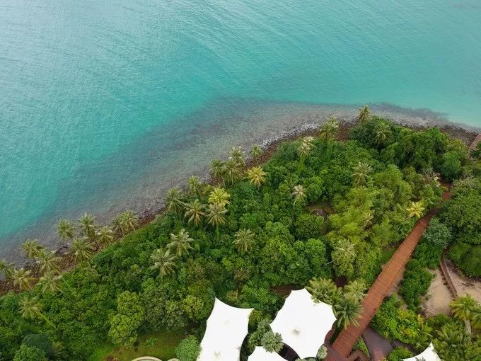 衣冠不整恕不招待厨师,衣冠不整不让进的饭店