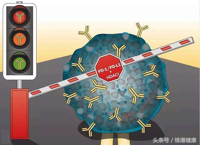 中国抗癌新药pd1哪里可以购买,pd-1抗癌药在哪里买什么价