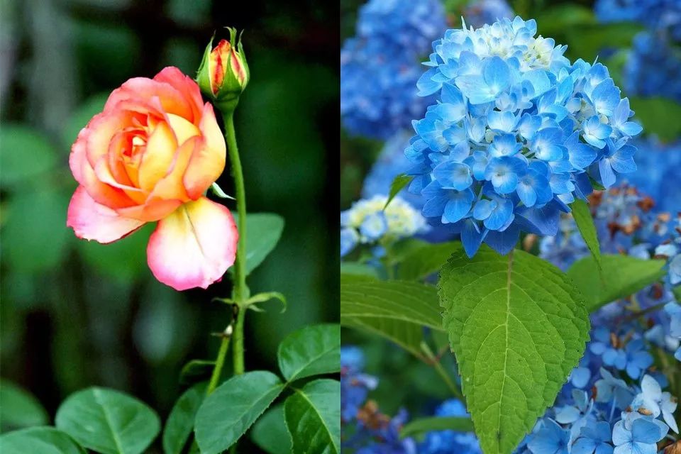 母亲节礼物推荐包邮,官方正品母亲节礼物排行榜前十名