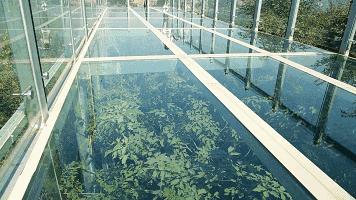 清凉谷景区路线攻略一日游,密云清凉谷旅游攻略