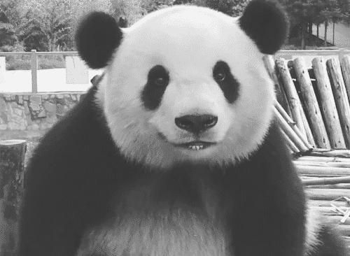 成都的旅游攻略三日游,成都5天旅行最佳攻略