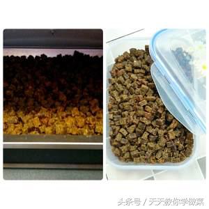 给狗狗自己做狗粮,自己给狗狗做西餐