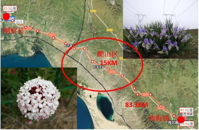 环青海湖骑行什么车比较好,去青海湖骑行几月份最合适